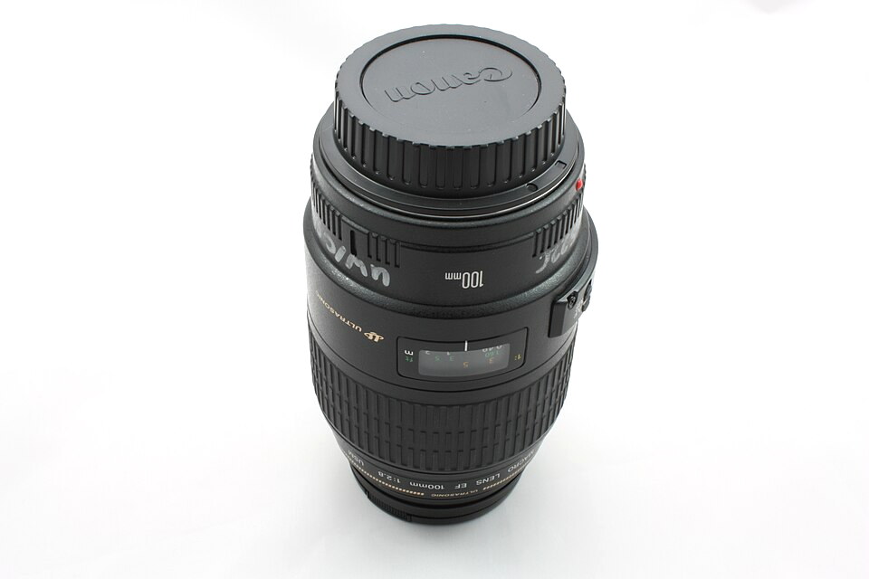Canon EF 100mm f/2.8 Macro, representative image