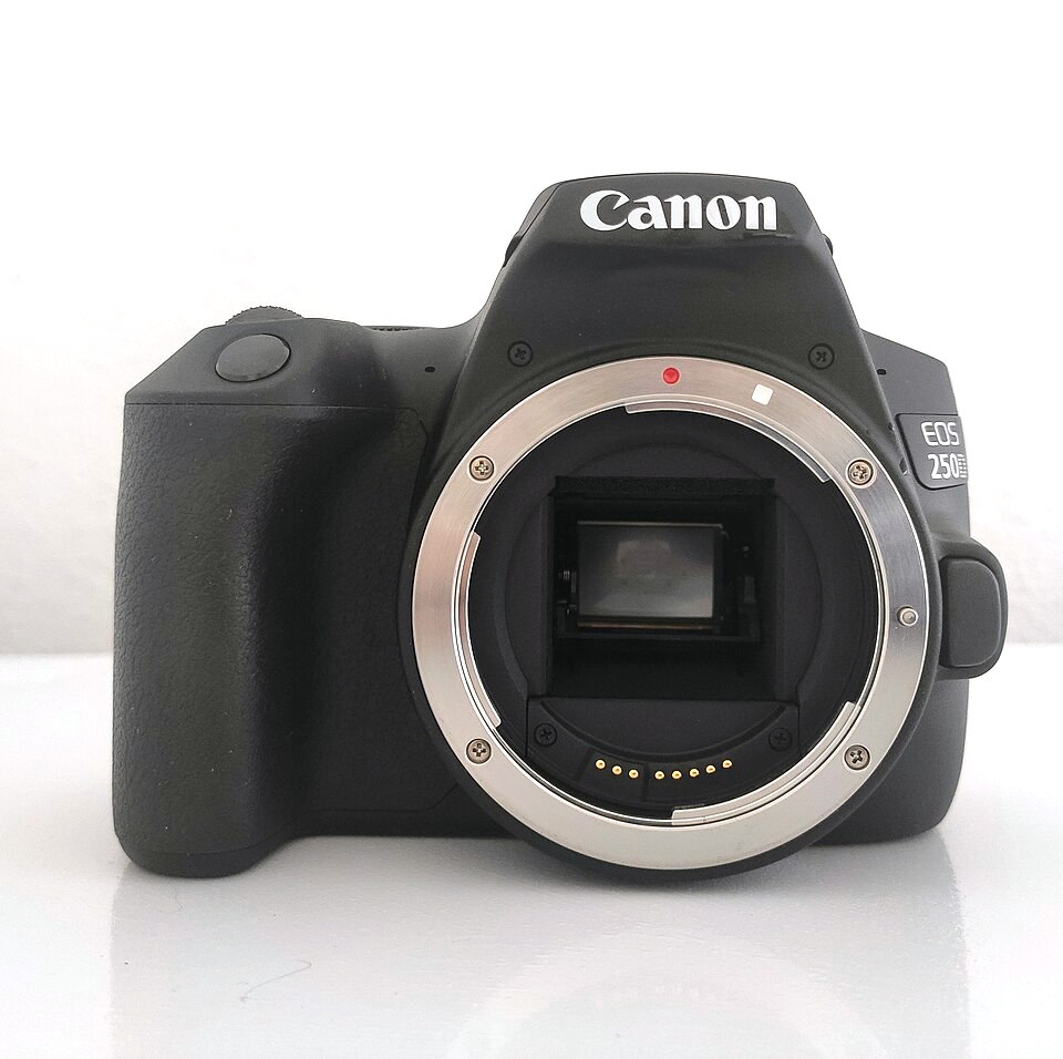 Canon EOS 250D, representative image