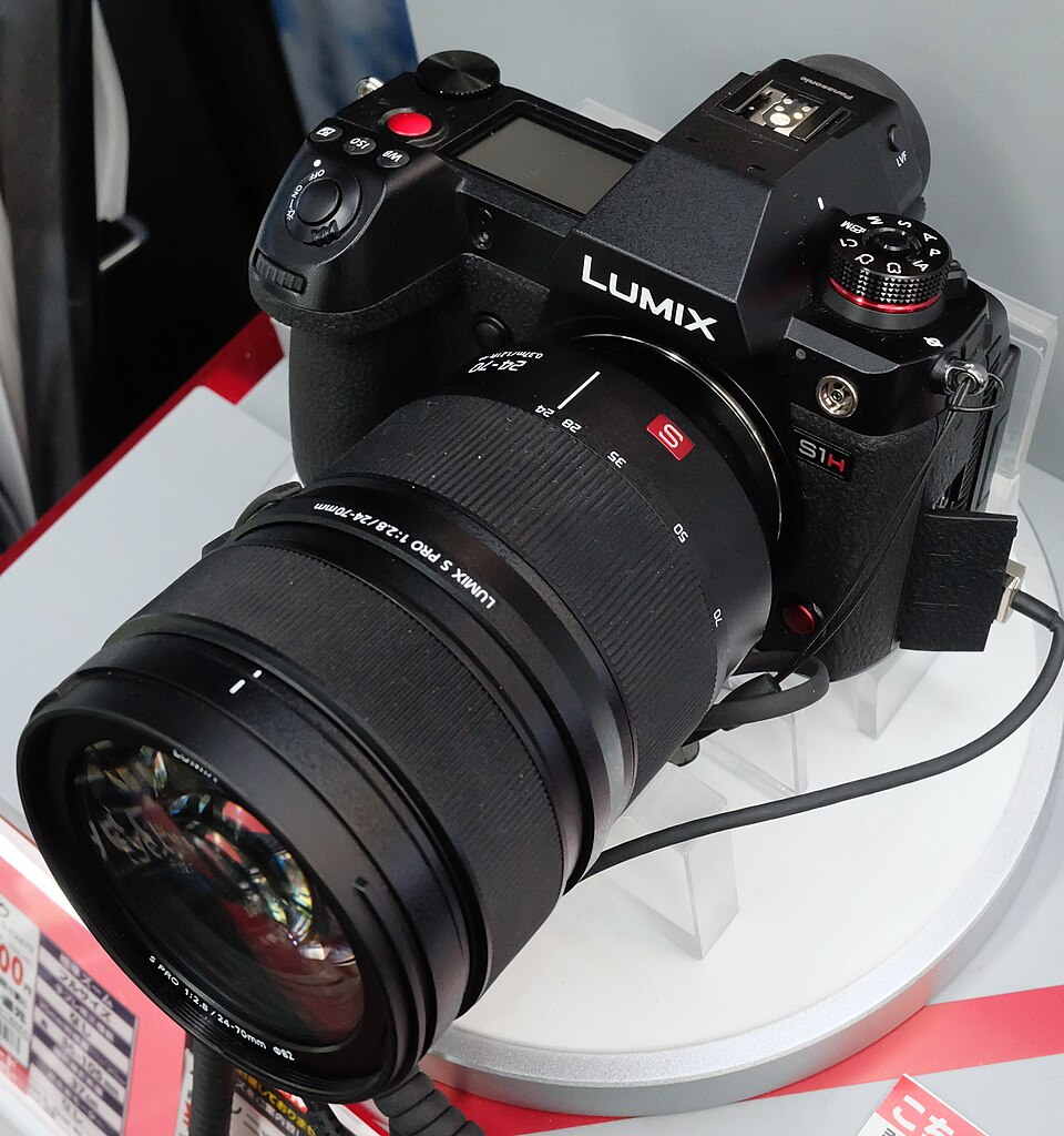 Panasonic Lumix S1H, representative image