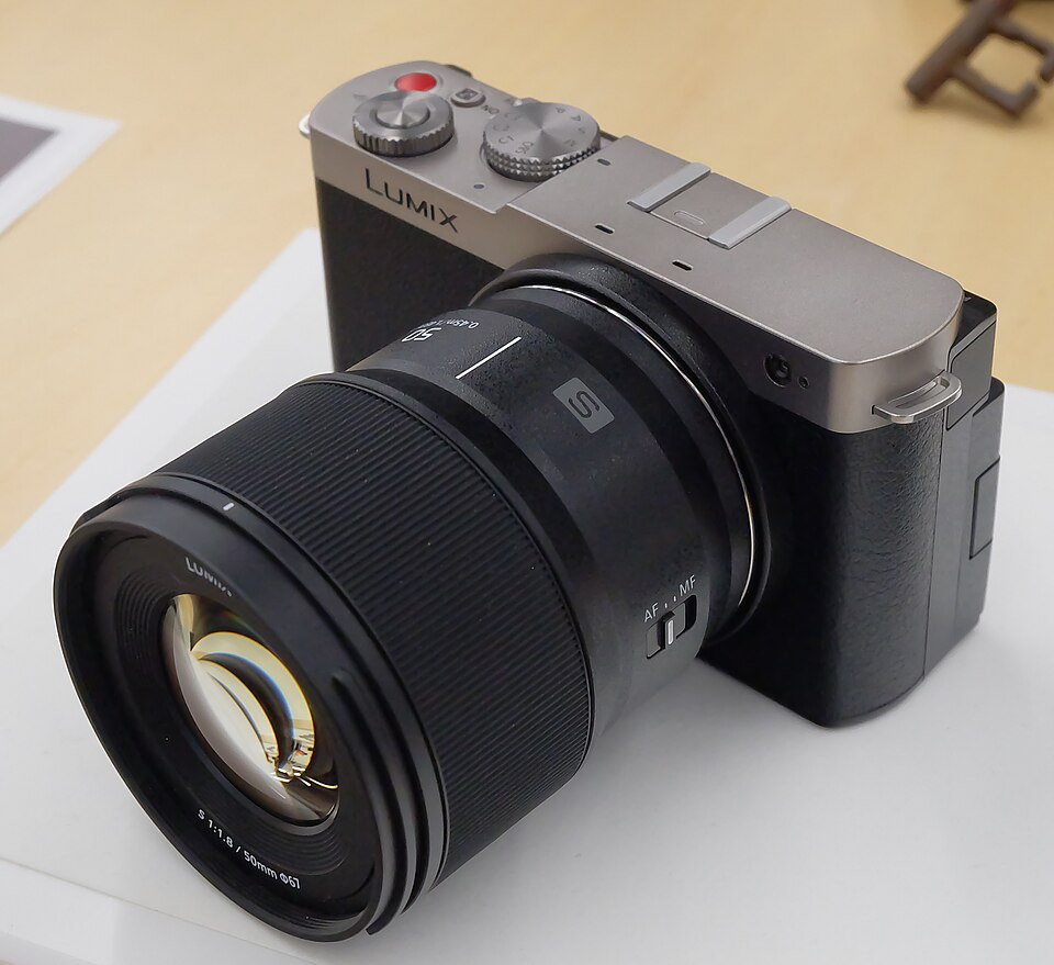Panasonic Lumix S9, representative image